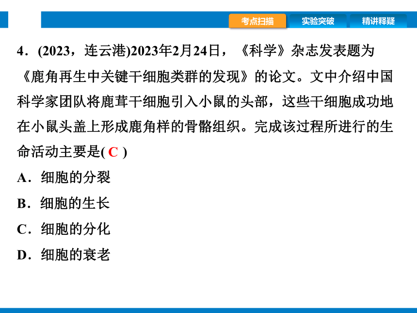 2024浙江省中考科学总复习第2讲　生物的结构与层次（课件 39张PPT）