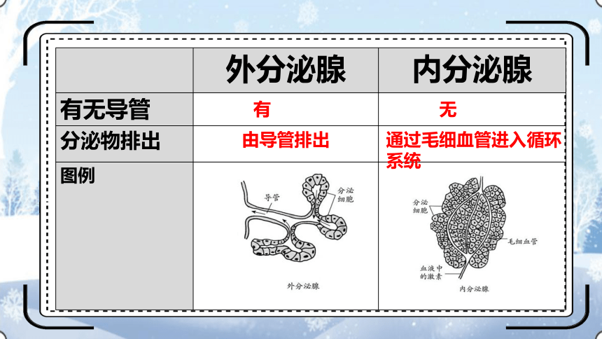 4.12.1激素调节课件(共30张PPT)2023--2024学年苏教版生物七年级下册