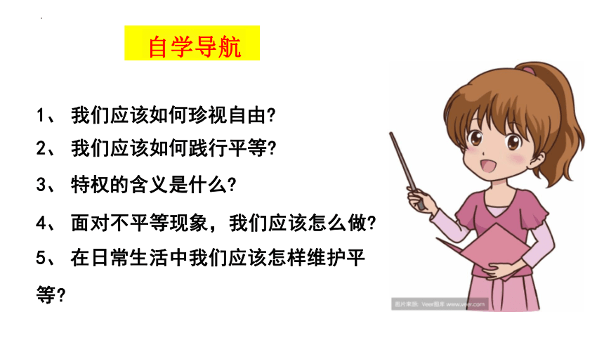 7.2 自由平等的追求 课件(共22张PPT)-2023-2024学年统编版道德与法治八年级下册