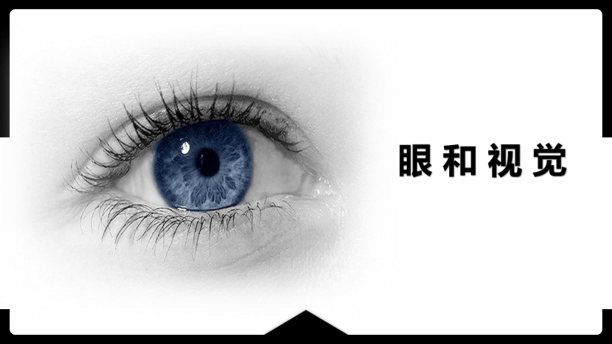 4.6.1人体对外界环境的感知课件 (共25张PPT)人教版生物七年级下册