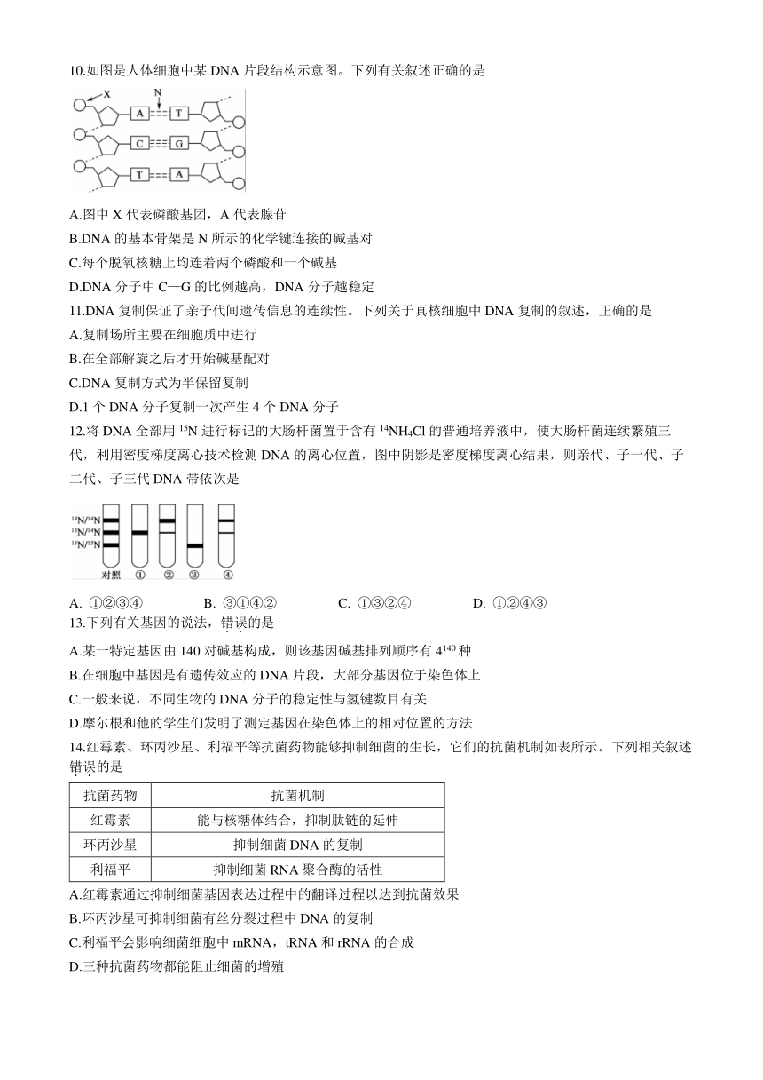 甘肃省庆阳市华池县第一中学2023-2024学年高一下学期期中考试生物学试题（含答案）