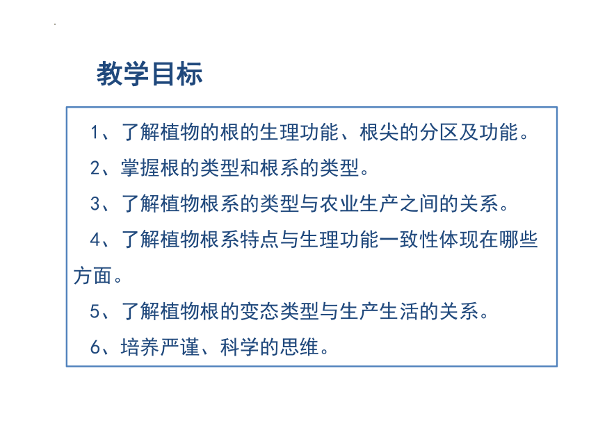 2.1植物的营养器官根 课件(共64张PPT)《种植基础》同步教学（中国农业出版社）