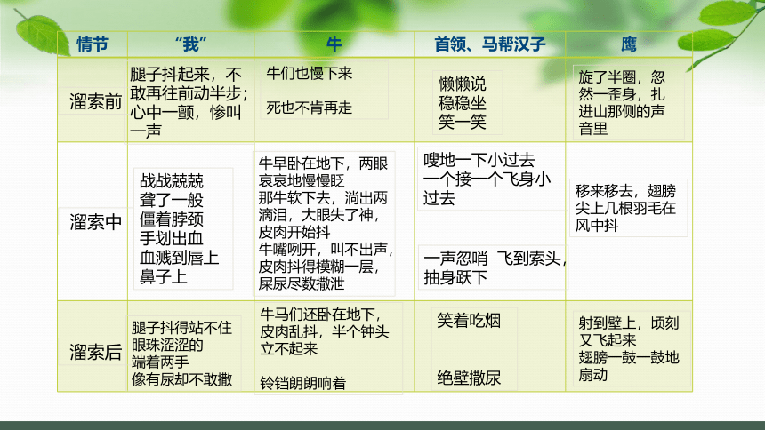 7. 溜索 课件(共22张PPT)