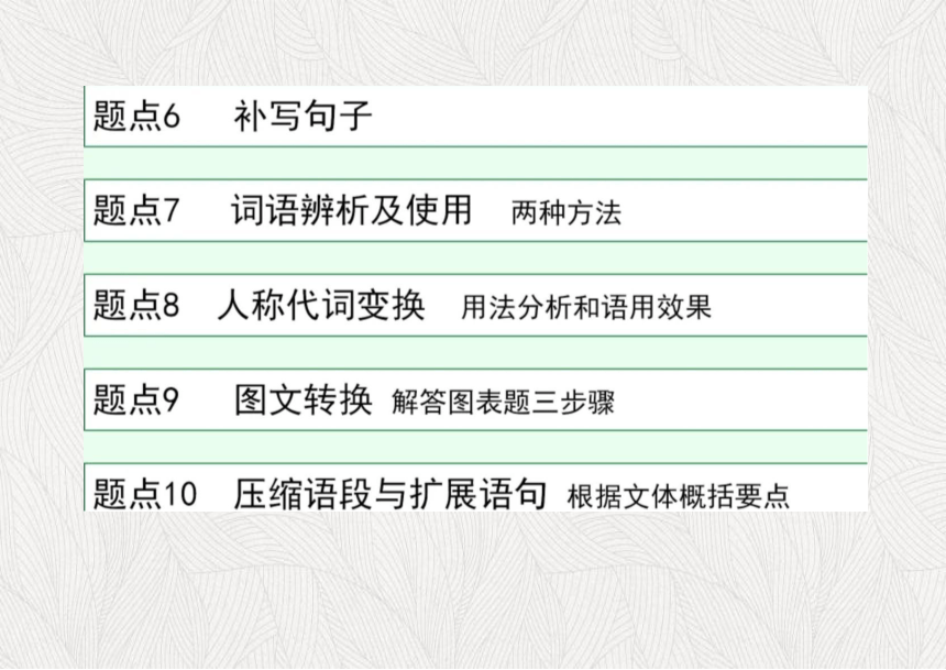 2024届高考语文复习：语言文字运用考点分析与训练 课件（共54张PPT）