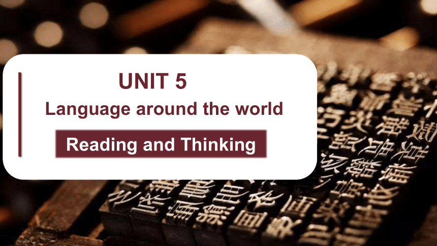 人教版（2019）必修 第一册Unit 5 Languages around the world Reading and Thinking 课件(共22张PPT)