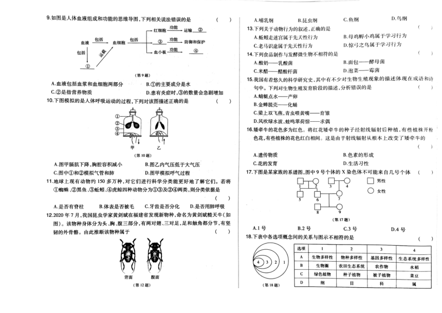 吉林省松原市宁江区第一中学2023-2024学年第二学期八年级生物期中测试卷（图片版，含答案）