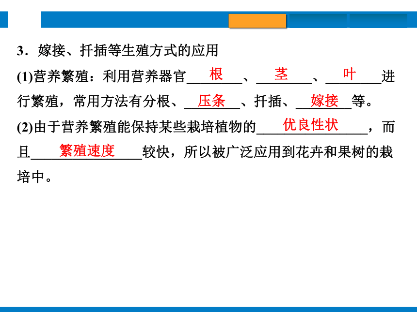 2024浙江省中考科学总复习第4讲　植物的生殖和发育　细菌、真菌的繁殖（课件 32张PPT）