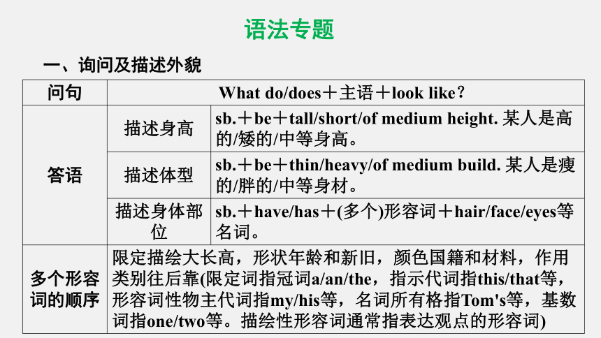 Unit 9 What does he look like? Section A Grammar focus 3a—3d课件(共23张PPT) 2023-2024学年人教版英语七年级下册