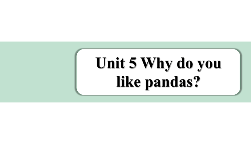 Unit 5 Why do you like pandas词句篇情境练习课件(共30张PPT) 2023-2024学年人教版英语七年级下册
