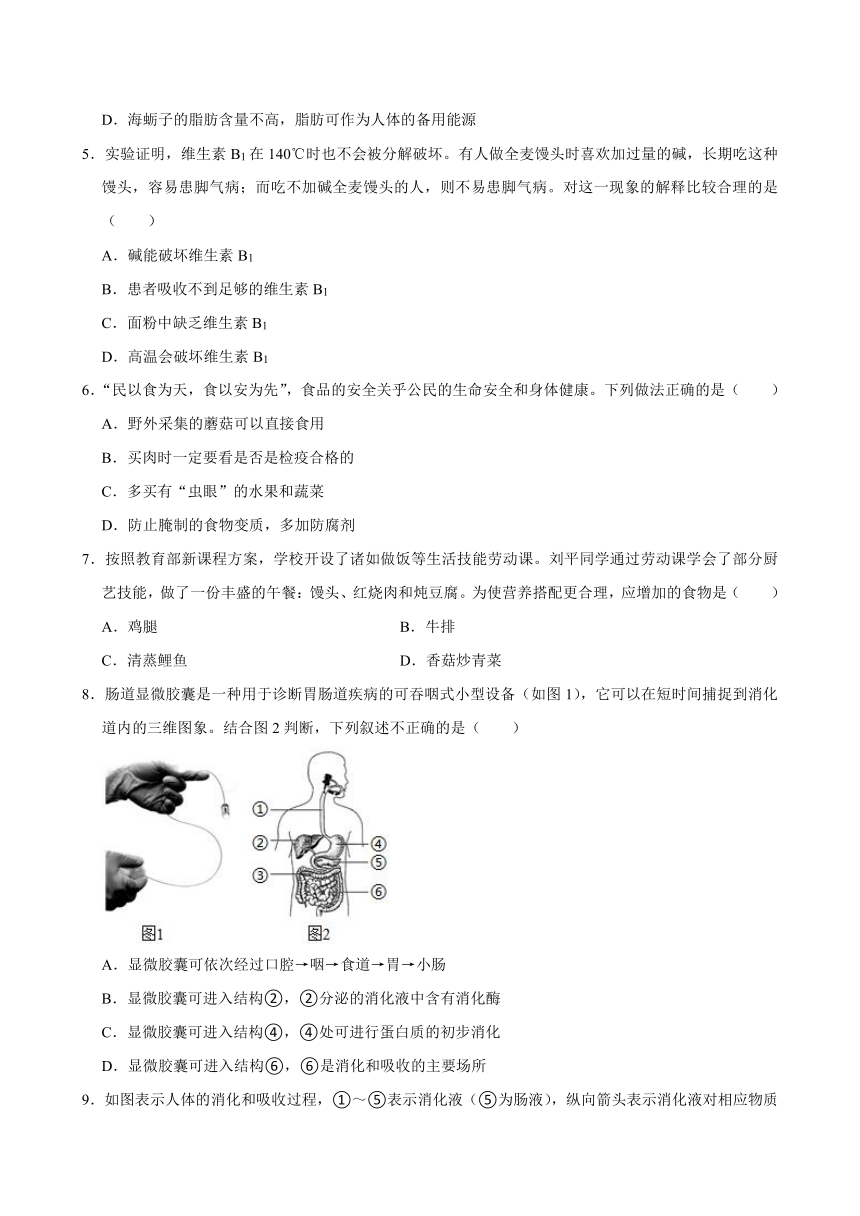 山东省青岛市崂山区2023-2024学年七年级下学期期中考试生物试题（含答案）