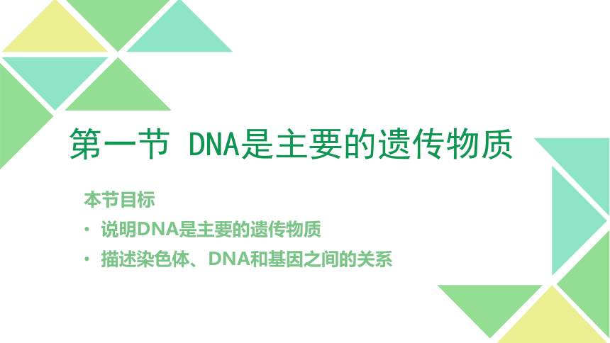 苏教版八年级下册生物 22.1DNA是主要的遗传物质 课件(31张PPT)