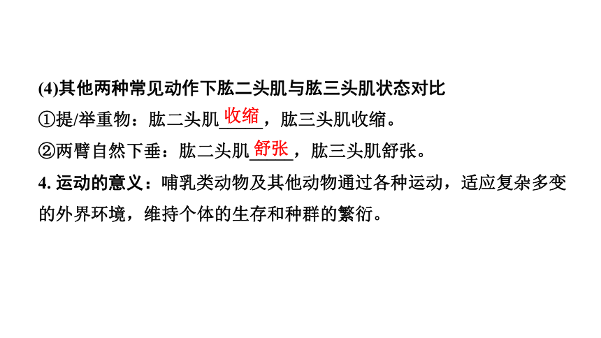 2024广西中考生物二轮中考考点研究 主题五 动物的运动和行为 课件（共36张PPT）