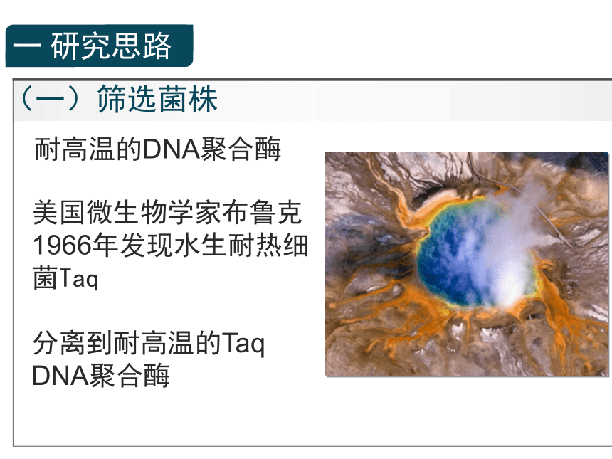 人教版选修1高三生物《专题2课题2土壤中分解尿素的细菌的分离与计数》（共79张PPT）