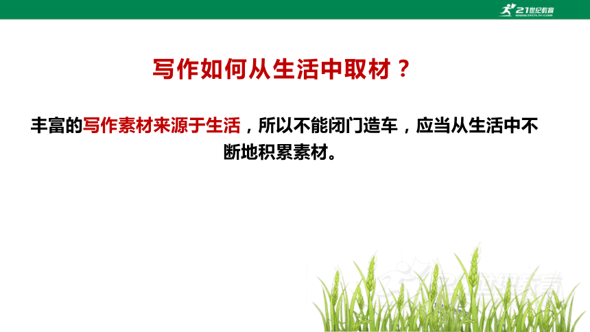 【备课先锋】人教统编版语文七下 第四单元 写作 怎样选材 课件