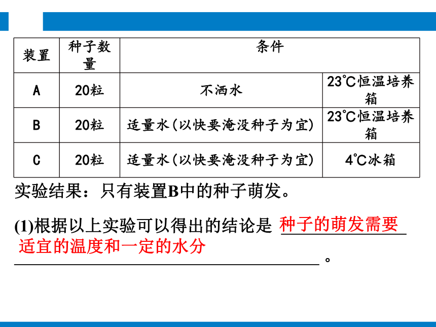 2024浙江省中考科学总复习知识清单 科学实验与探究（课件 84张PPT）