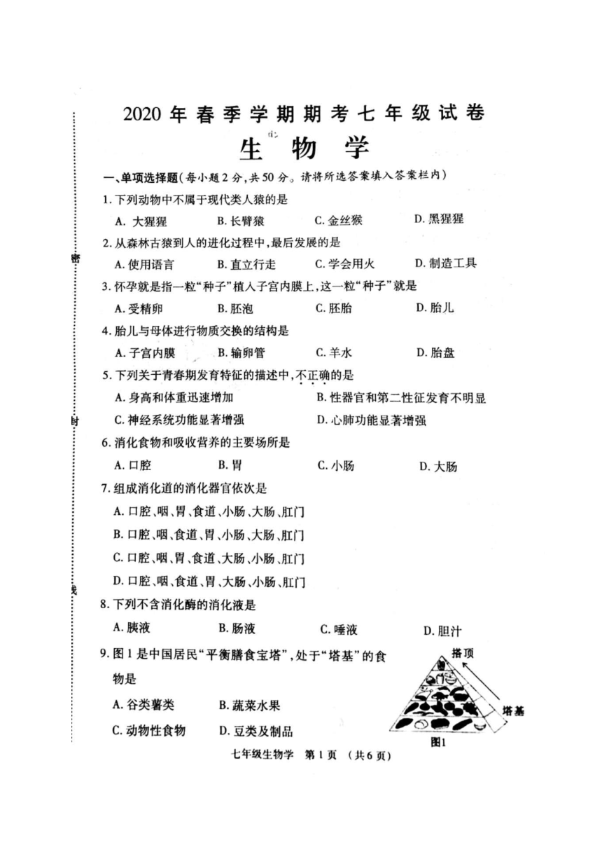 广西贺州市八步区2019-2020学年第二学期七年级生物期末检测试题（扫描版，含答案）