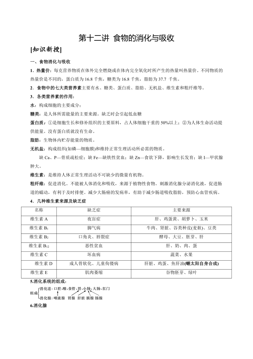 浙教版科学八升九暑假同步提高专题讲义（机构用）第12讲   食物的消化与吸收（含答案）