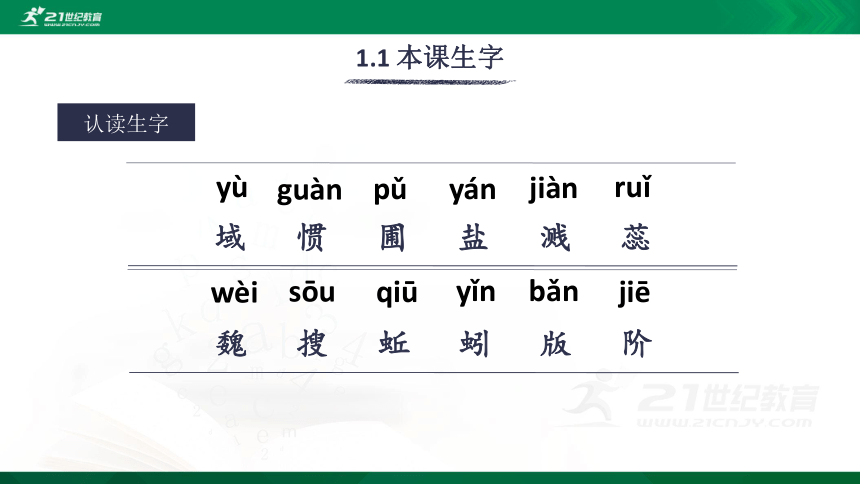 15 真理诞生于一百个问号之后 生字视频课件(共17张PPT)