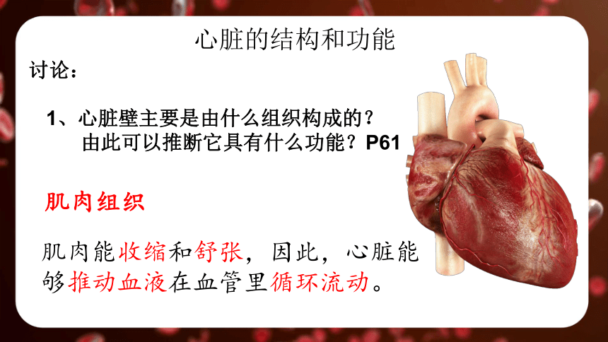 4.4.3 第三节 输送血液的泵──心脏课件(共46张PPT＋内嵌视频3个)人教版七年级下册