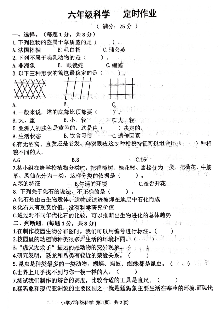 重庆市铜梁区重庆市潼南巴川中学校2023-2024学年六年级下学期5月期中道德与法治 科学试题(图片版,无答案)