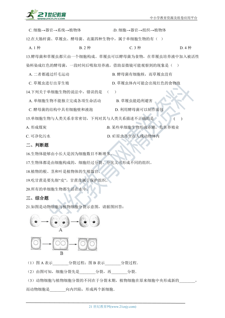 第二单元第二章 细胞怎样构成生物体 章末检测（含解析）