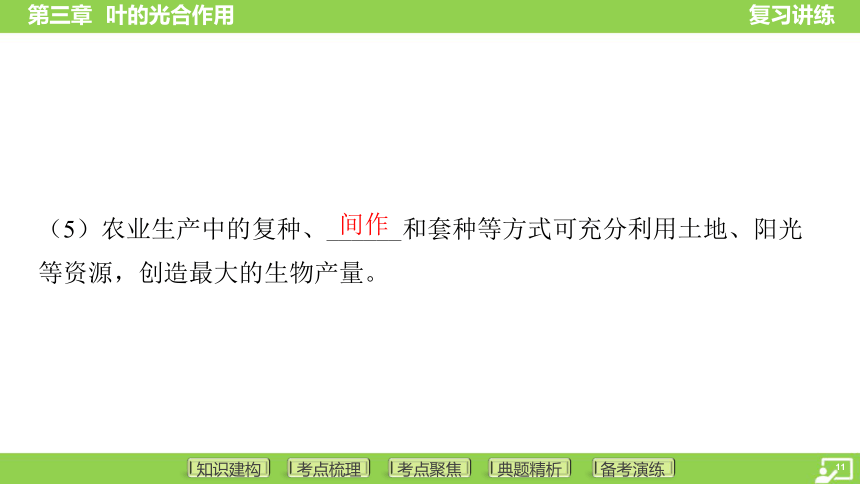 第一篇 第三单元 第三章 叶的光合作用  课件(共38张PPT) 2024中考生物总复习专题突破(冀少版)