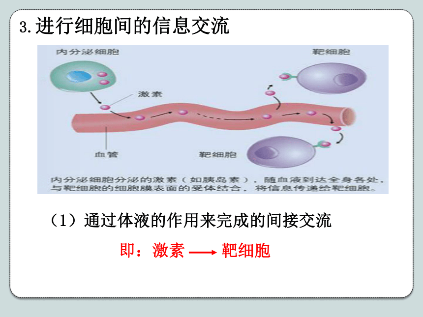 人教版高中生物必修1《3．1细胞膜——系统的边界》课件（共50张PPT）