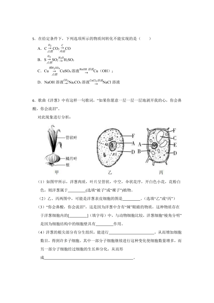 2024年浙江省科学中考考前每日一练 第10卷（含解析）