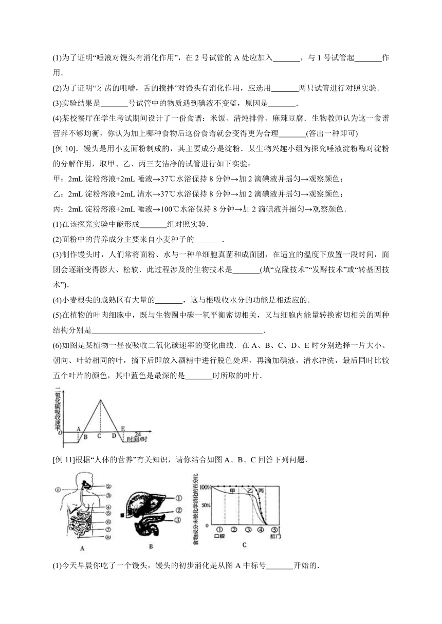 浙教版科学八升九暑假同步提高专题讲义（机构用）第12讲   食物的消化与吸收（含答案）