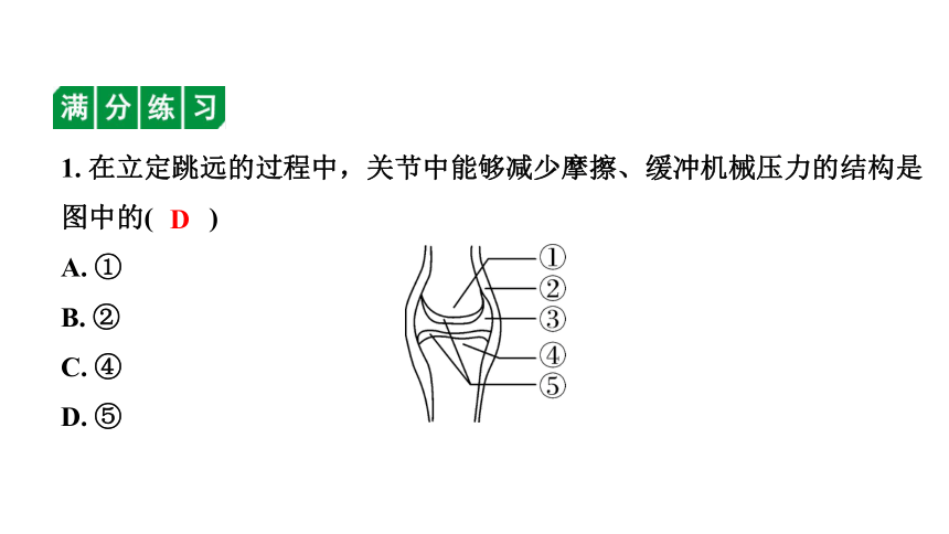 2024广西中考生物二轮中考考点研究 主题五 动物的运动和行为 课件（共36张PPT）