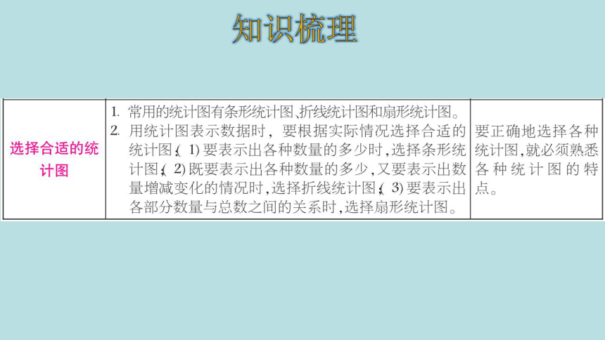 人教版数学六年级上册7扇形统计图 整理和复习 课件（21页ppt）