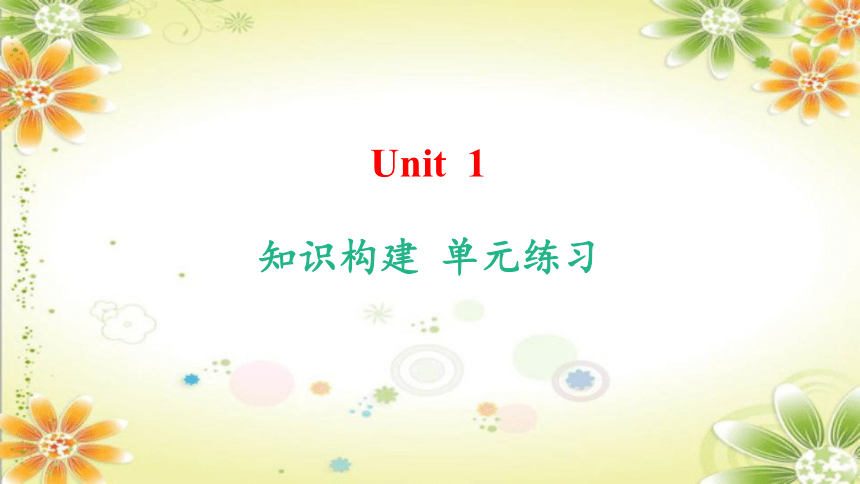 Unit 1 How can we become good learners？知识点课件(共48张PPT) 2023-2024学年人教版九年级英语全册