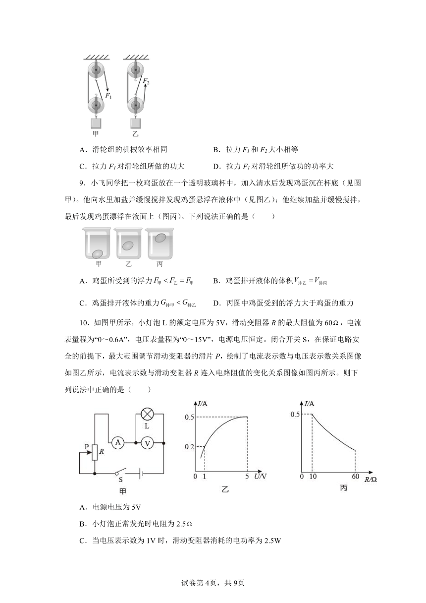 广东省广州市2024年中考物理第三次模拟考试（有解析）