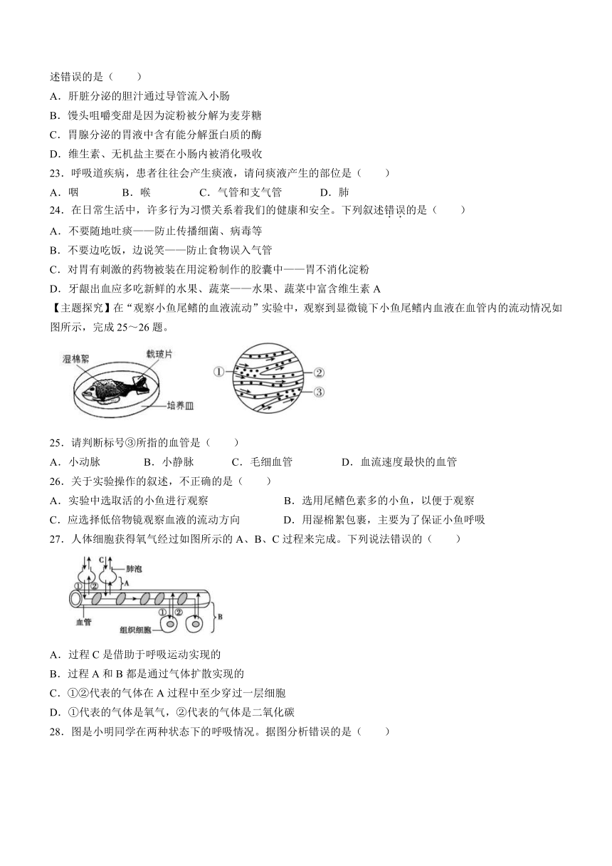 广东省阳江市江城区2023-2024学年七年级下学期期中考试生物试题（含答案）