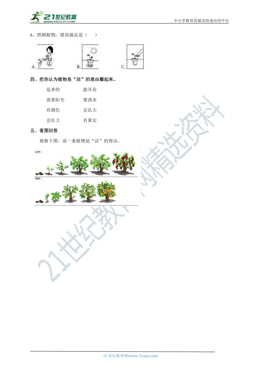 1.5《植物是“活”的吗？》练习