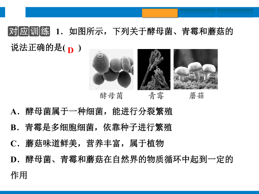 2024浙江省中考科学总复习第4讲　植物的生殖和发育　细菌、真菌的繁殖（课件 32张PPT）