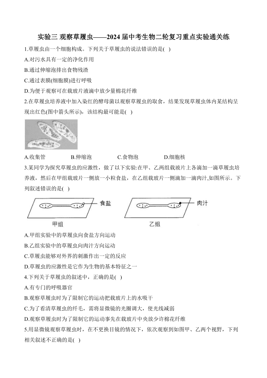 2024年中考生物二轮复习重点实验通关练——实验三 观察草履虫（含解析）