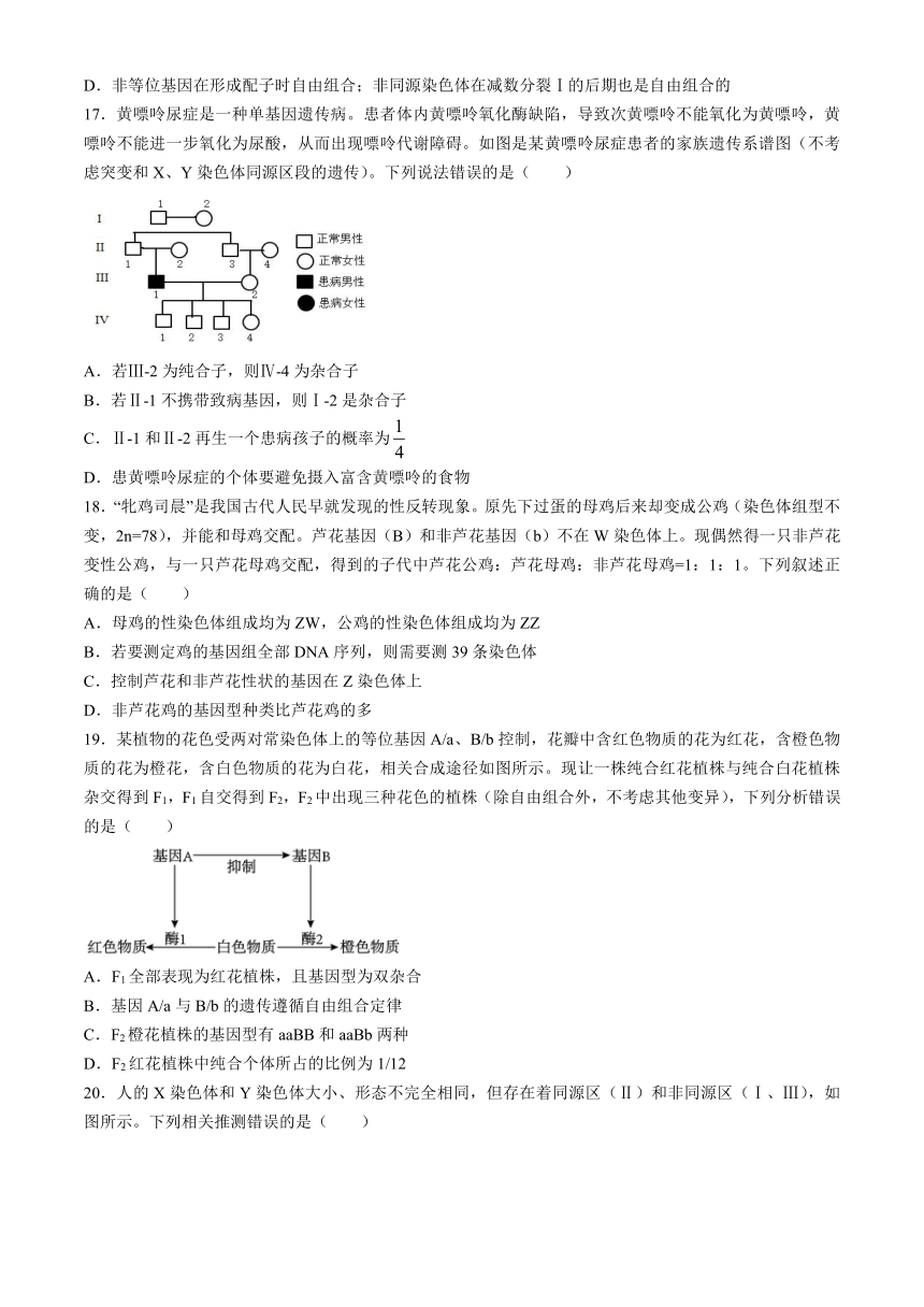 江西省宜春市宜丰县宜丰中学2023-2024学年高一下学期4月期中生物试题（含解析）