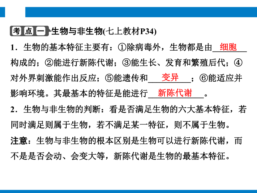 2024浙江省中考科学复习 第1讲　生物的分类（课件 54张PPT）