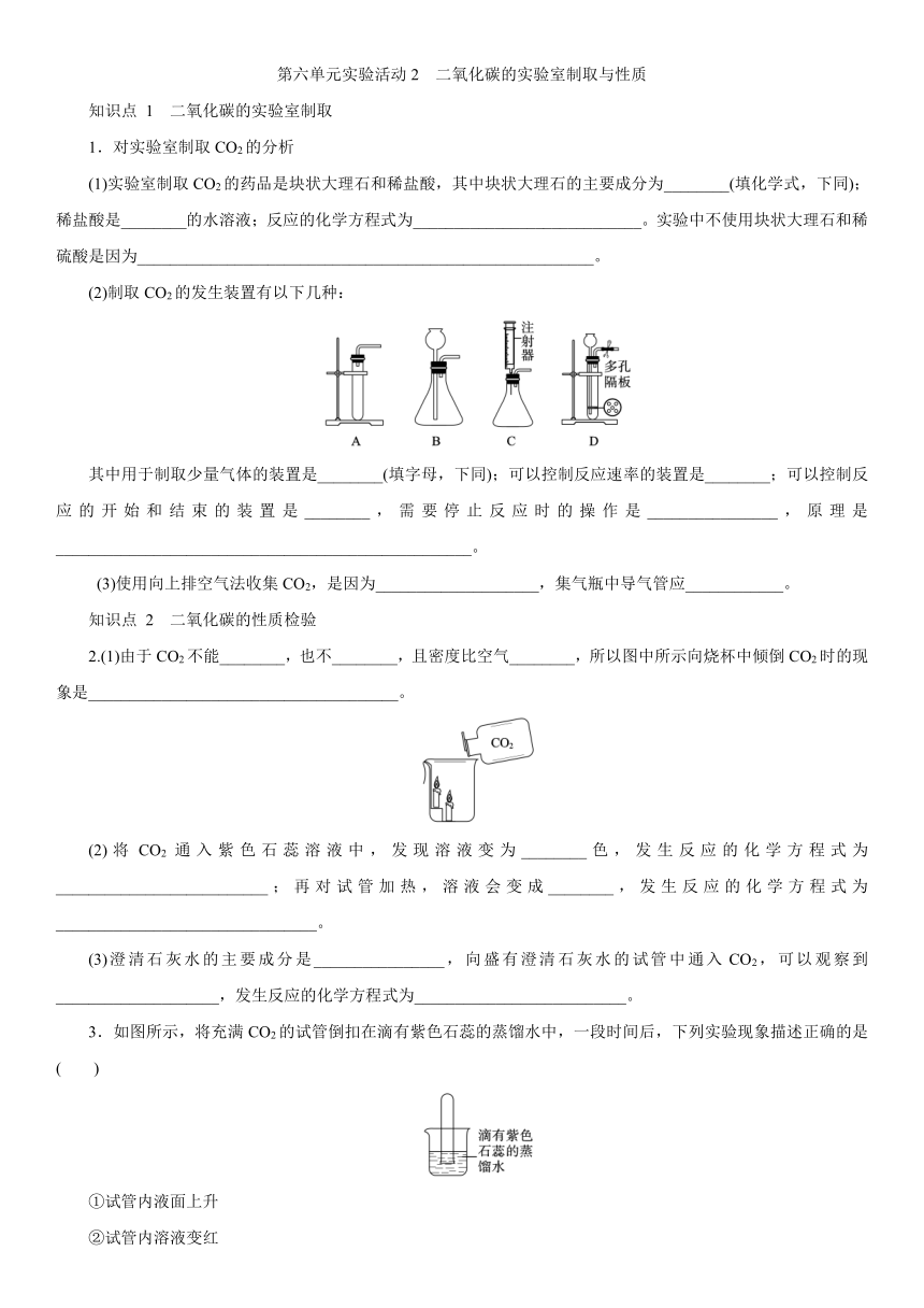 人教版九年级上册 第六单元 实验活动2　二氧化碳的实验室制取与性质 同步测试（含答案）