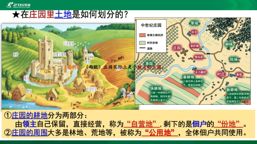 第8课 西欧庄园  课件（20张PPT）