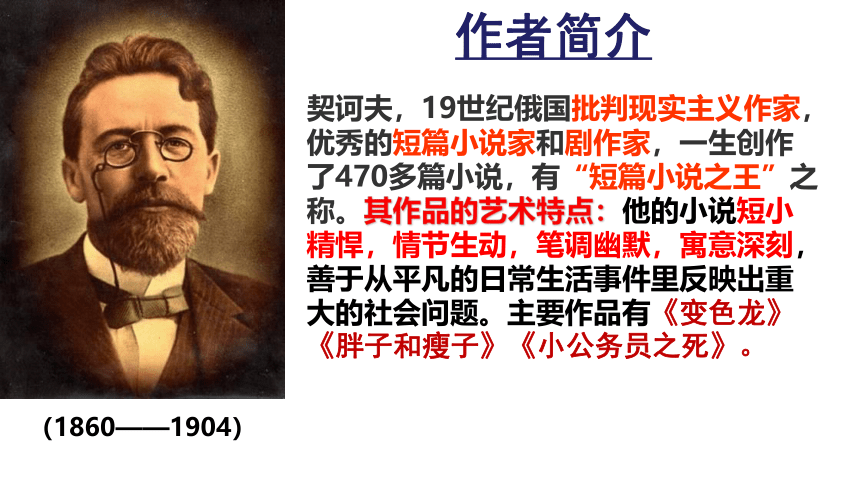 13-2《装在套子里的人》课件（共30张PPT） 2023-2024学年统编版高中语文必修下册