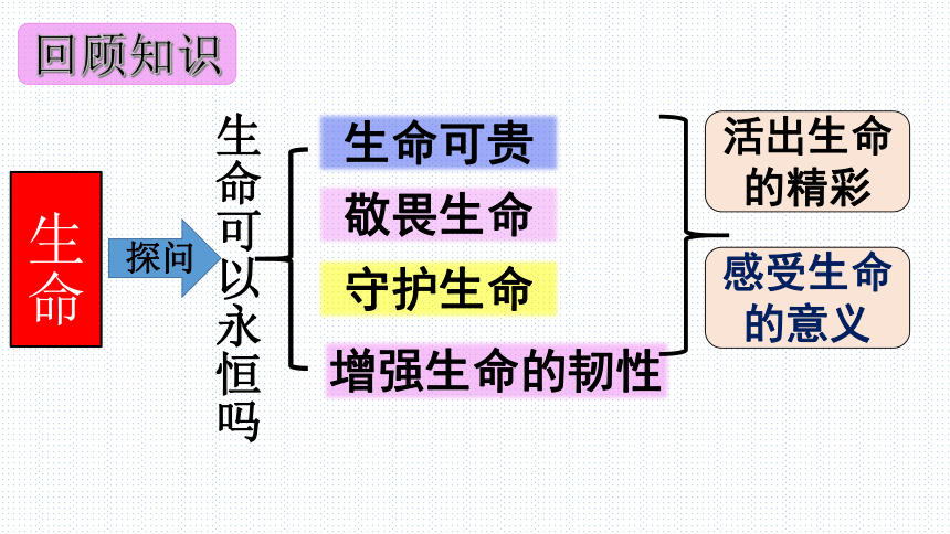 板块6：心理健康模块-2024年中考道德与法治二轮专题复习实用课件（ 51张ppt）