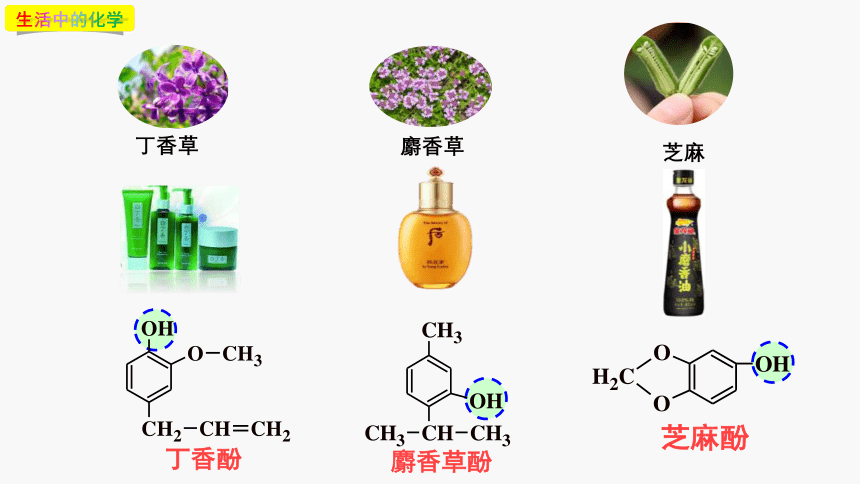 3.2.3 苯酚的结构与性质（优选课件）-2023-2024学年高二化学人教版2019选择性必修3）（共83张ppt）