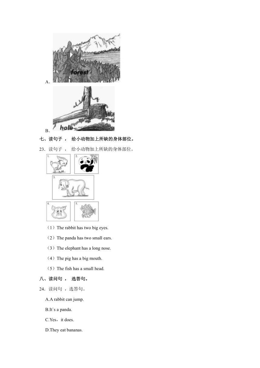 Unit 2 Animals at the zoo Againe please 同步练习卷（含解析）