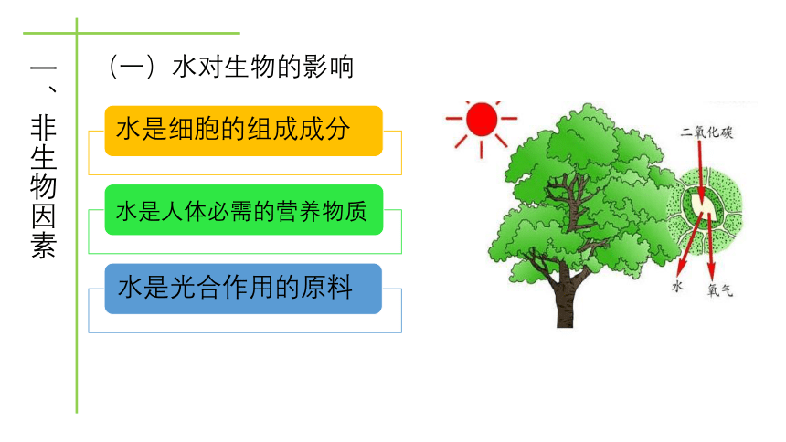 北师大版八年级生物下册教学23.1 生物的生存依赖一定的环境课件 (共25张PPT)