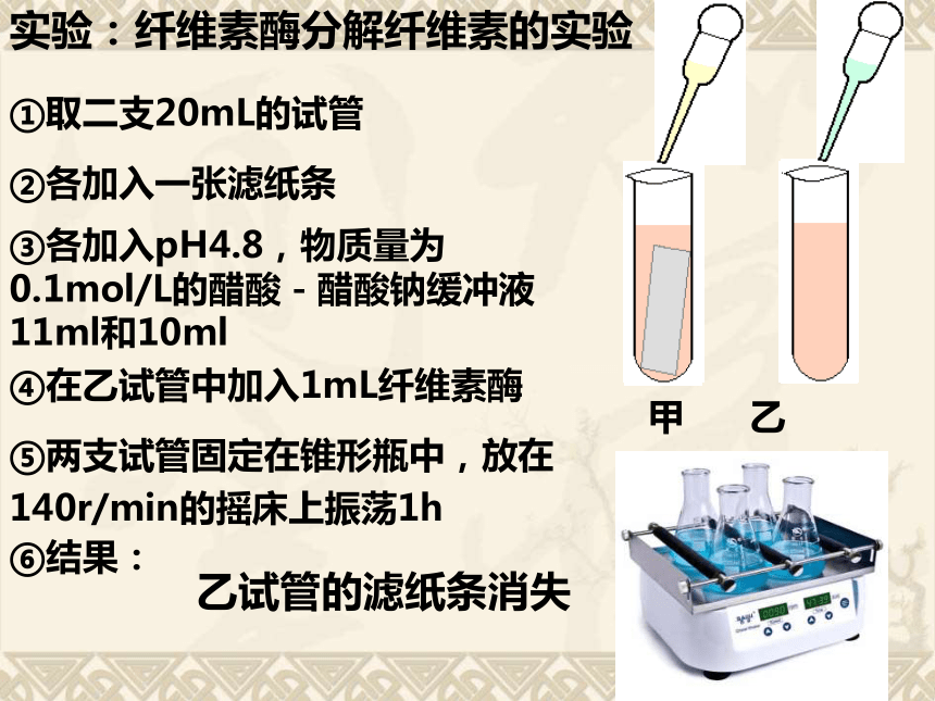 2．3分解纤维素的微生物的分离（共29张PPT）