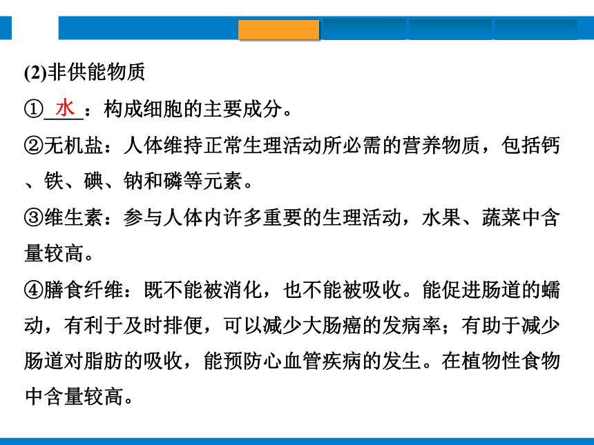 2024浙江省中考科学复习第6讲　动物的新陈代谢（1）（课件 50张PPT）