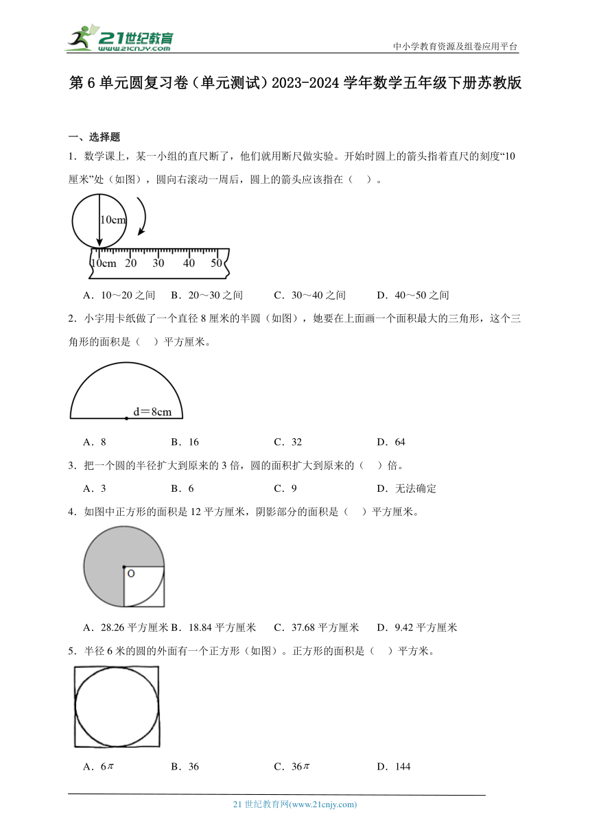 第6单元圆复习卷（单元测试）2023-2024学年数学五年级下册苏教版（含答案）