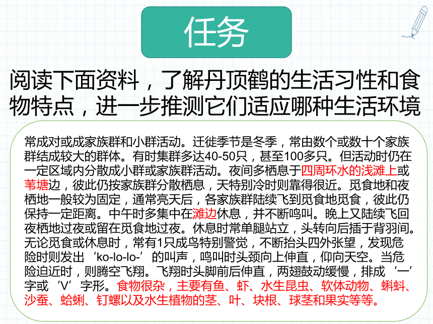 13 丹顶鹤生活在哪里(内含视频素材):28张PPT